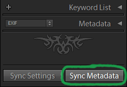 sync_metadata